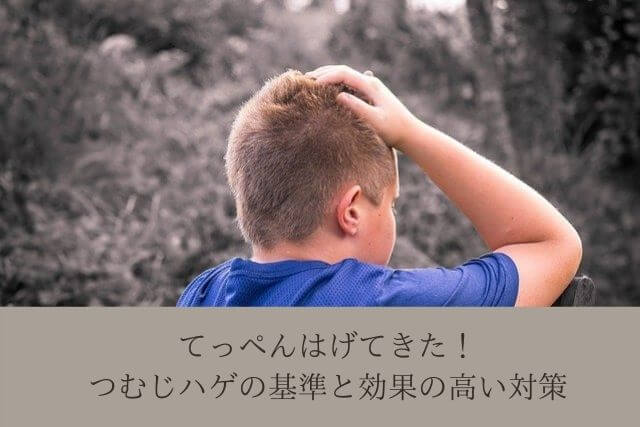 てっぺんはげてきた つむじハゲの基準と効果の高い対策 Tobablog Agaや筋トレダイエットでもっと輝けるコツが分かるブログ